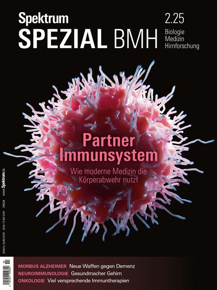 Spektrum der Wissenschaft Spezial Biologie - Medizin - Hirnforschung - 2/2025 - Partner Immunsystem