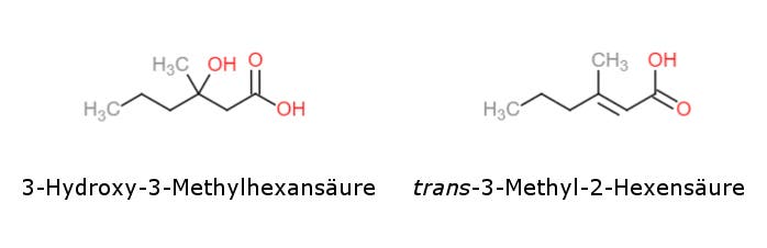 Hexansäuren im Achselschweiß.