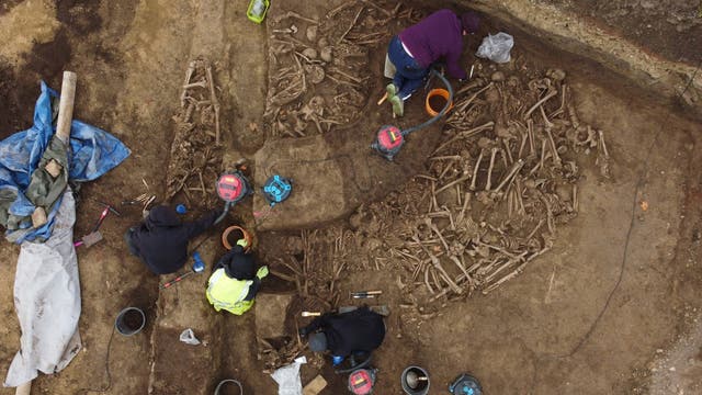 Luftaufnahme einer archäologischen Ausgrabungsstätte, auf der mehrere Personen in Arbeitskleidung und mit Werkzeugen Knochen freilegen. Die Szene zeigt eine Vielzahl von Skelettresten im Boden. Links sind Planen und Ausrüstungsgegenstände zu sehen. Die Personen arbeiten konzentriert an der Freilegung der Funde.
