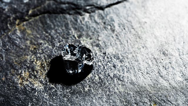 Der Zahn stammt von der neuen Menschenaffenart Buronius manfredschmidi, die Paläontologen in der Fossilstätte Hammerschmiede in Bayerisch-Schwaben entdeckt haben.