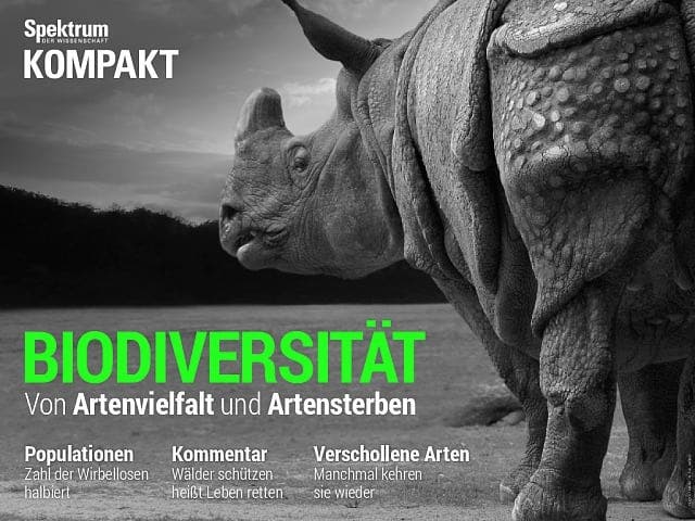  Biodiversität – Von Artenvielfalt und Artensterben