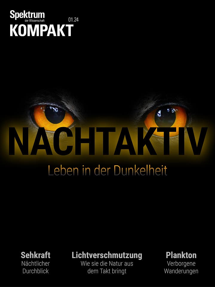 Nachtaktiv – Leben in der Dunkelheit
